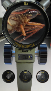 اسکرین شات برنامه Microscope 5