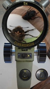 اسکرین شات برنامه Microscope 8