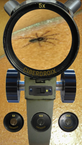 اسکرین شات 4 برنامه Microscope