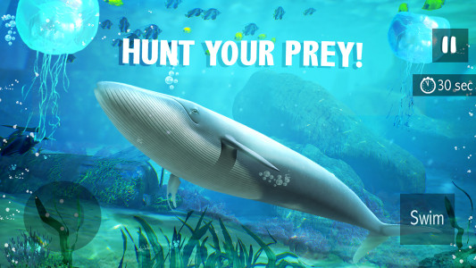 اسکرین شات 4 بازی Blue Whale Simulator - Game