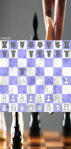 اسکرین شات بازی شطرنج دو نفره 3