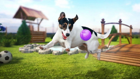 اسکرین شات بازی Dog Simulator : 3D Dog Games 4