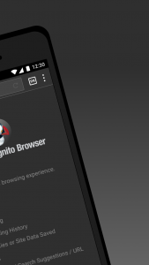 اسکرین شات برنامه Puffin Incognito Browser 2