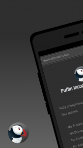 اسکرین شات برنامه Puffin Incognito Browser 1