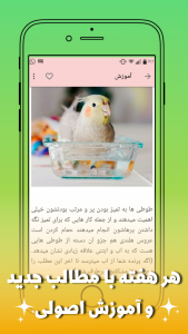 اسکرین شات برنامه آموزش عروس هلندی 3