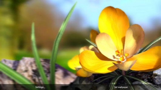 اسکرین شات برنامه Nature Live ❁ Spring Flowers 3D 5