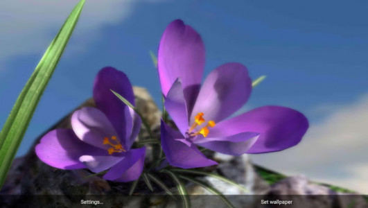 اسکرین شات برنامه Nature Live ❁ Spring Flowers 3D 4
