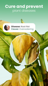 اسکرین شات برنامه Blossom - Plant Identifier 7