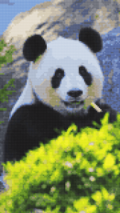 اسکرین شات برنامه Cross stitch pixel art game 5