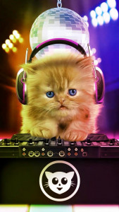 اسکرین شات برنامه Talking baby cat. Talking game 2