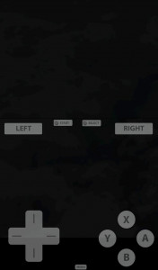 اسکرین شات بازی Fast DS Emulator - For Android 2