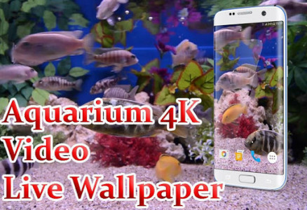اسکرین شات برنامه Aquarium 4K Live Wallpaper 1