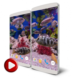 اسکرین شات برنامه Aquarium 4K Live Wallpaper 2