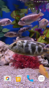 اسکرین شات برنامه Aquarium 4K Live Wallpaper 8