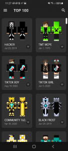 اسکرین شات برنامه Skins for Minecraft 2 3