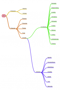 اسکرین شات 8 برنامه miMind - Easy Mind Mapping