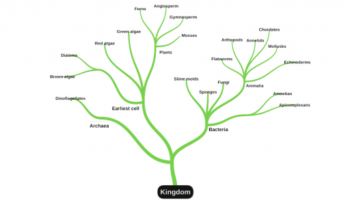 اسکرین شات 2 برنامه miMind - Easy Mind Mapping