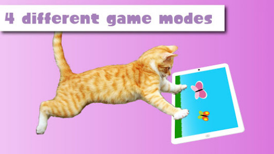 اسکرین شات بازی HappyCats games for cats 3