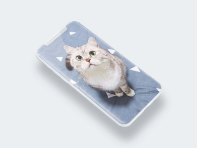 اسکرین شات برنامه Cute Cat Wallpaper 3