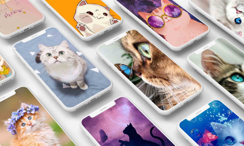 اسکرین شات برنامه Cute Cat Wallpaper 1