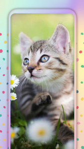 اسکرین شات برنامه Cute Cats Live Wallpaper 3