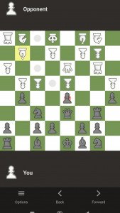 اسکرین شات بازی شطرنج+ شطرنج دونفره آفلاین 2