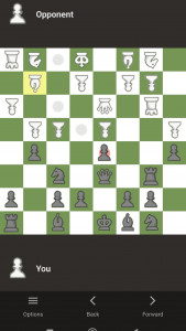 اسکرین شات بازی شطرنج+ شطرنج دونفره آفلاین 1