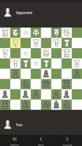 اسکرین شات بازی شطرنج+ شطرنج دونفره آفلاین 3