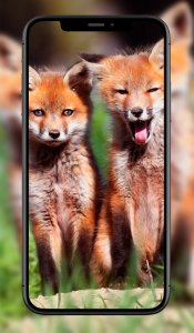 اسکرین شات 7 برنامه Cute Animal Wallpapers