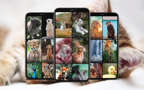 اسکرین شات 1 برنامه Cute Animal Wallpapers