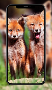 اسکرین شات 7 برنامه Cute Animal Wallpapers