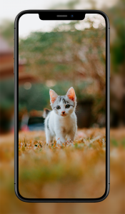 اسکرین شات 4 برنامه Cute Animal Wallpapers
