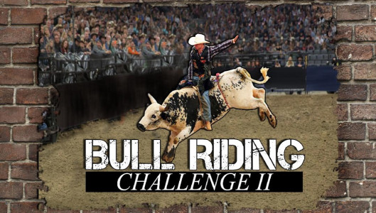 اسکرین شات بازی Bull Riding Challenge 2 3
