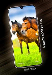 اسکرین شات برنامه Wallpapers with Horses in 4K 5