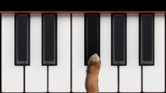 اسکرین شات برنامه Dog Piano 2