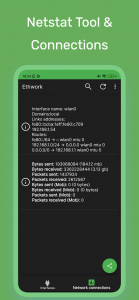 اسکرین شات برنامه Ethwork: Netstat GUI 3