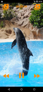اسکرین شات 3 برنامه Dolphins songs to sleep