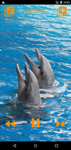اسکرین شات 5 برنامه Dolphins songs to sleep