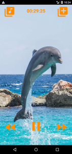اسکرین شات 2 برنامه Dolphins songs to sleep