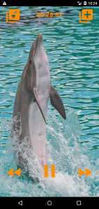 اسکرین شات 4 برنامه Dolphins songs to sleep