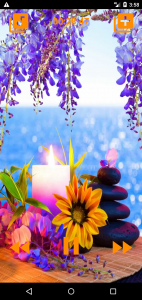 اسکرین شات 2 برنامه Relaxing Spa Music
