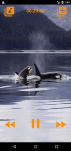 اسکرین شات 2 برنامه Whales songs to sleep