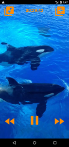 اسکرین شات 1 برنامه Whales songs to sleep