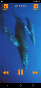 اسکرین شات 3 برنامه Whales songs to sleep