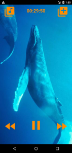 اسکرین شات 5 برنامه Whales songs to sleep