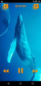 اسکرین شات 5 برنامه Whales songs to sleep
