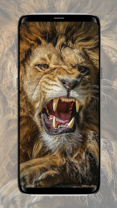 اسکرین شات برنامه Lion Wallpaper 3