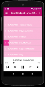 اسکرین شات برنامه Black pink Songs Offline - Lyrics 3
