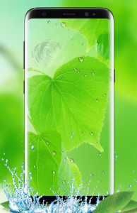 اسکرین شات برنامه Green Leaf Live Wallpaper HD: Water Leaf Wallpaper 3