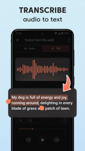 اسکرین شات 2 برنامه Sound Recorder Plus: Voice Rec